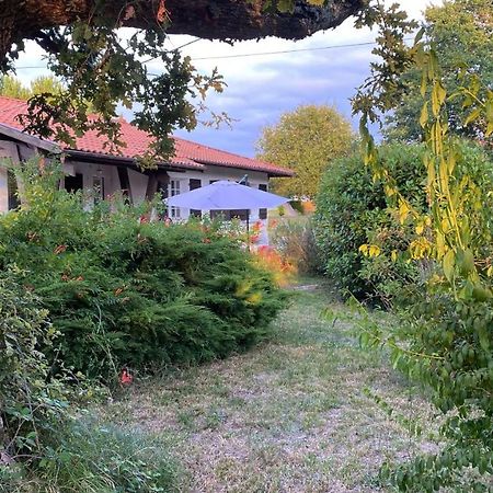 Cool Landes Villa Sainte-Eulalie-en-Born Bagian luar foto