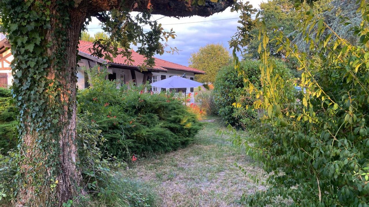 Cool Landes Villa Sainte-Eulalie-en-Born Bagian luar foto